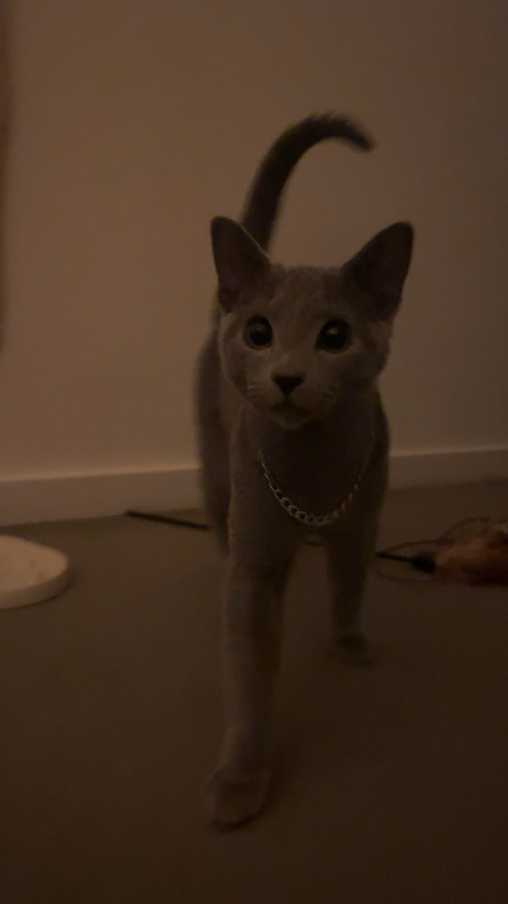 A4 Customised Cartoon Painting